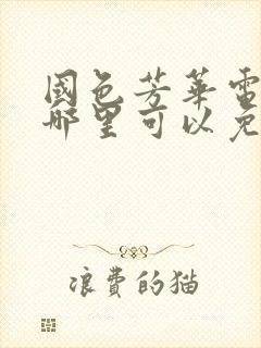 国色芳华电视剧哪里可以免费观看