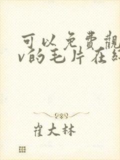 可以免费观看av的毛片在线观看