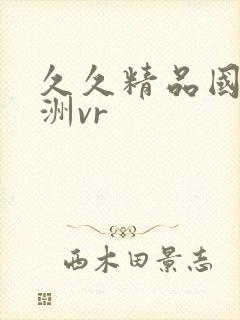 久久精品国产亚洲vr