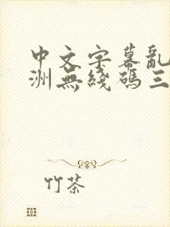 中文字幕乱码亚洲无线码三区