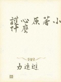 护心原著小说叫什么