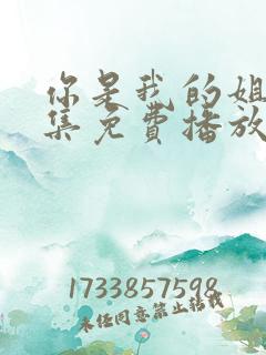 你是我的姐妹全集免费播放电视剧