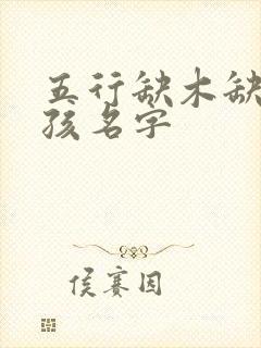 五行缺木缺水男孩名字