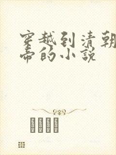 穿越到清朝当皇帝的小说