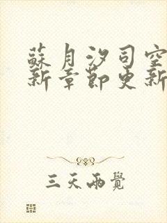 苏月汐司空靖最新章节更新