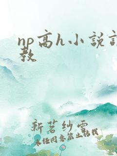 np高h小说调教
