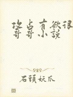 攻占有欲很强的哥哥小说