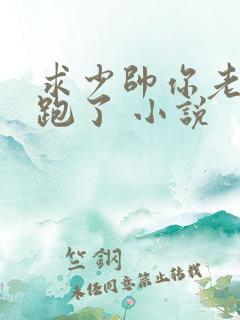 求少帅你老婆又跑了 小说