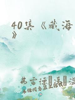 40集《藏海传》