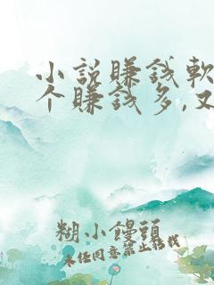 小说赚钱软件哪个赚钱多,又安全