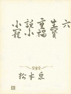 小说重生六零团宠小福宝
