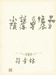 小说《绝品邪少陨落星辰》