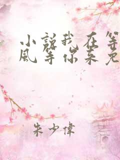 小说我在等,等风等你来免费阅读