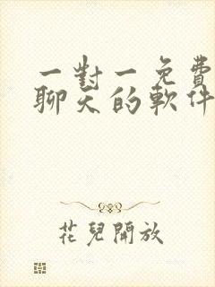 一对一免费视频聊天的软件有哪些