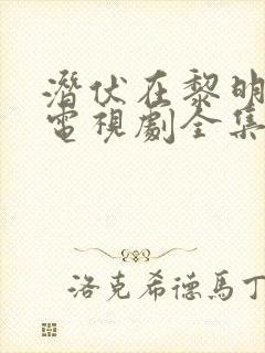 潜伏在黎明之前电视剧全集40集