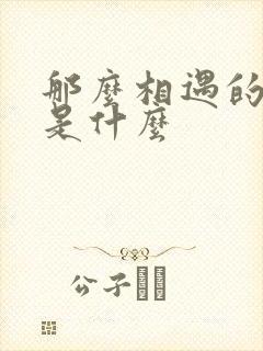 那么相遇的意义是什么