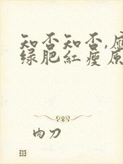 知否知否,应是绿肥红瘦原著小说