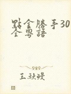 点金胜手30集全粤语