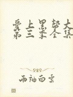 爱上黑帮大佬的第三季全集免费观看