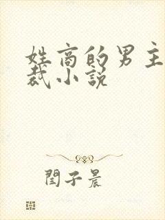 姓商的男主角总裁小说