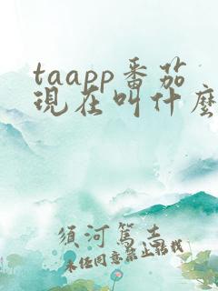 taapp番茄现在叫什么