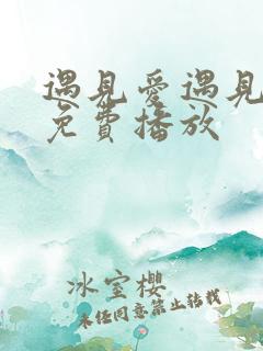 遇见爱遇见幸福免费播放