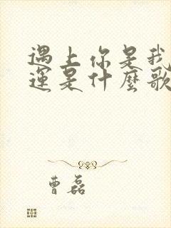 遇上你是我的幸运是什么歌