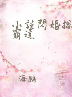 小说闪婚总裁太霸道