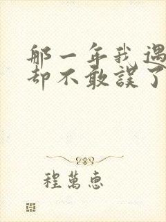 那一年我遇见你却不敢误了你是什么歌