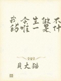 我今生做不了你的唯一是什么歌