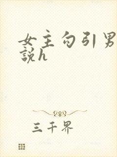 女主勾引男主小说h