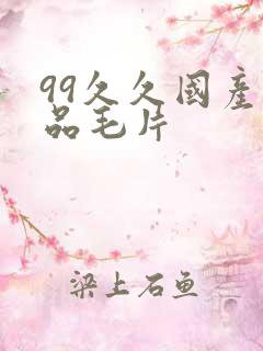 99久久国产精品毛片