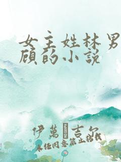 女主姓林男主姓顾的小说