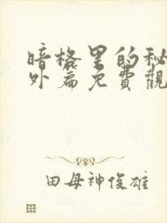 暗格里的秘密番外篇免费观看