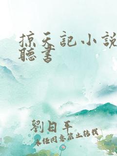 掠天记小说免费听书