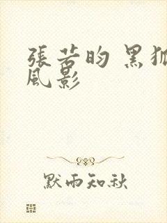 张若昀 黑狐之风影