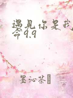 遇见你是我的宿命9.9
