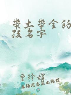 带土带金的字男孩名字