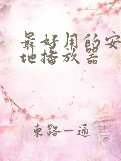 最好用的安卓本地播放器