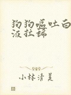 狗狗呕吐白色粘液拉稀