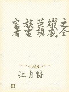 家族荣耀之继承者电视剧全集免费观看