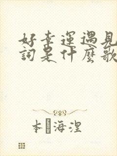 好幸运遇见你歌词是什么歌