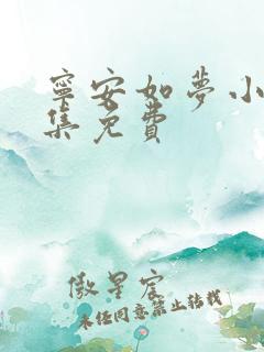 宁安如梦小说全集免费