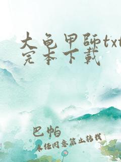 大龟甲师txt完本下载