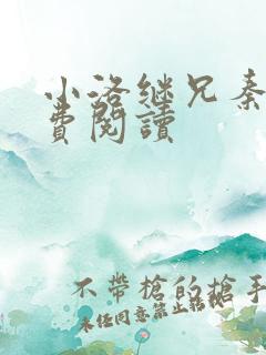 小洛继兄秦峰免费阅读