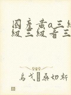 国产黄a三级三级三级看三级视频
