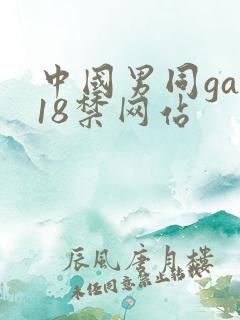 中国男同gay18禁网站