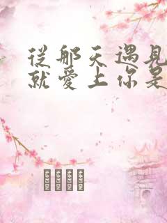 从那天遇见你我就爱上你是什么歌