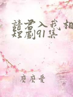 请君入我相思局短剧91集