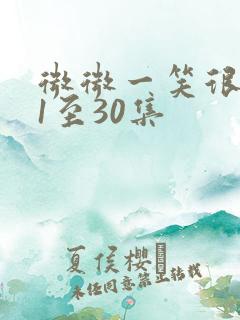 微微一笑很倾城1至30集